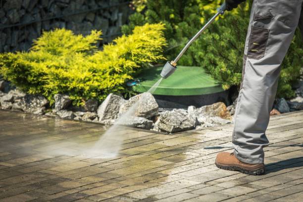 Best Gutter Cleaning and Brightening in Tatamy, PA